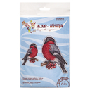 Набор для вышивания на пластиковой канве 