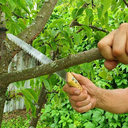 Пила садовая (34 см) — фото, картинка — 3